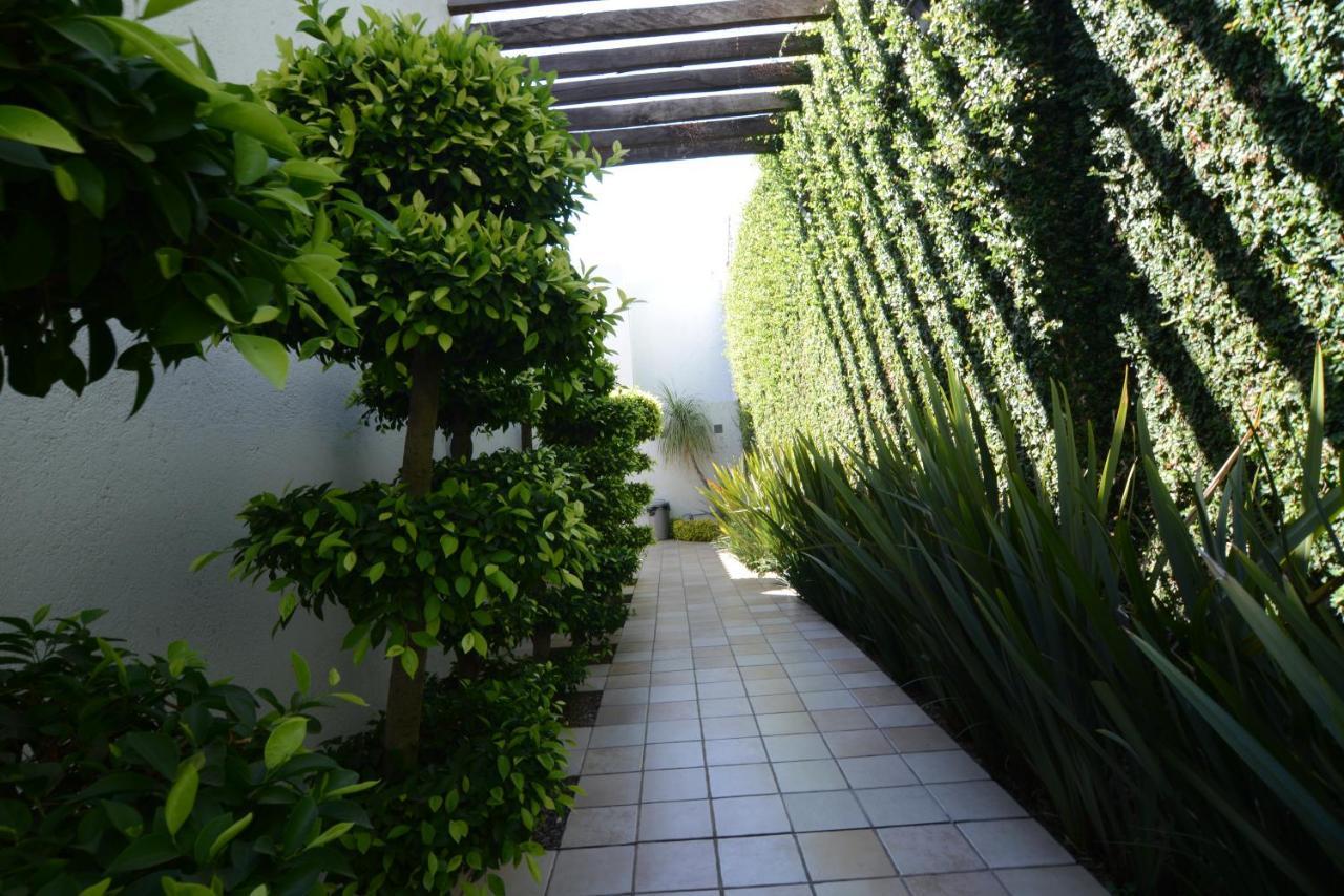 Suites La Fe Oaxaca Екстер'єр фото